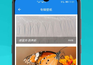 手机屏幕图片壁纸,手机屏幕壁纸创意生成指南